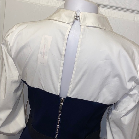 NWT New York & Company Dress - Picture 4 of 11